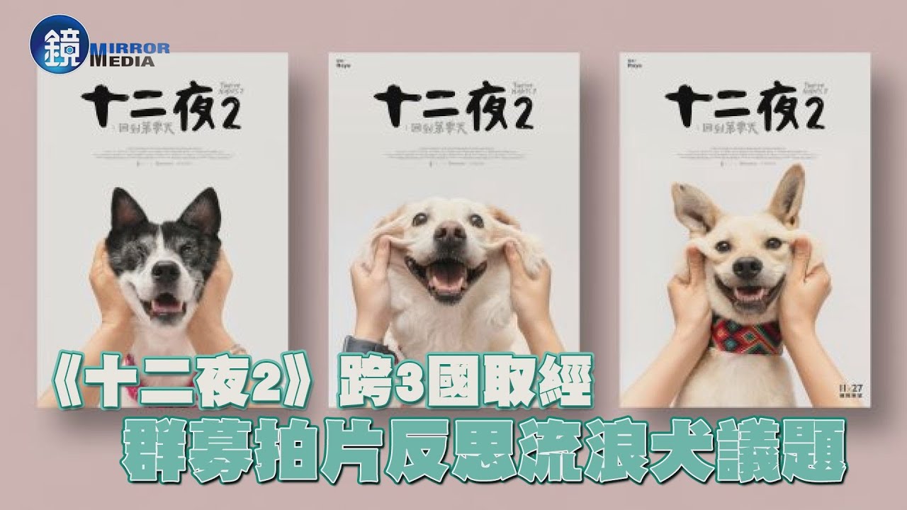拍片促成收容動物零撲殺她竟說 以後不想再當導演 開新聞open News 拍片促成收容動物零撲殺她竟說 以後不想再當導演 開新聞open News