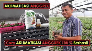 Cara Aklimatisasi Anggrek Agar Berhasil