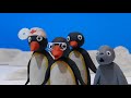 Pingu S The Thing Thingu 