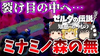【知恵のかりもの】目的地消失!?トリィの仲間を探しに裂け目の中へ…ミナミノ森の無05【ゆっくり実況】【ゼルダの伝説】