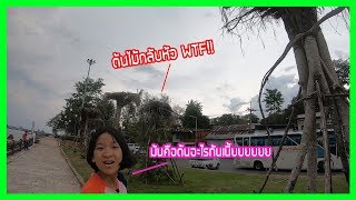สวนสาธาราณะธารา จังหวัดกระบี่ สวนสาธาราณะริมน้ำทะเล (ของกินอร่อยย!!) สวนสาธาราณะธารา จังหวัดกระบี่ สวนสาธาราณะริมน้ำทะเล (ของกินอร่อยย!!)