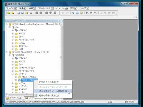 黒猫 SQL Studio Next 機能デモ07
