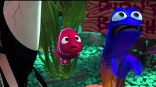 Celebrity Finding Nemo Aquascum/fish napping Luig group Net Worth