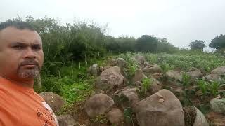 Sítio Boa Vista Município Itaiba Pernambuco