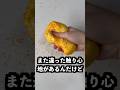 揚げ物スクイーズにメロジョイのマジックパウダーをかけたら残念なことが起こった!