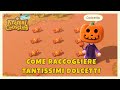 COME RACCOGLIERE TANTISSIMI DOLCETTI 🍭🍬 ANIMAL CROSSING NEW HORIZONS