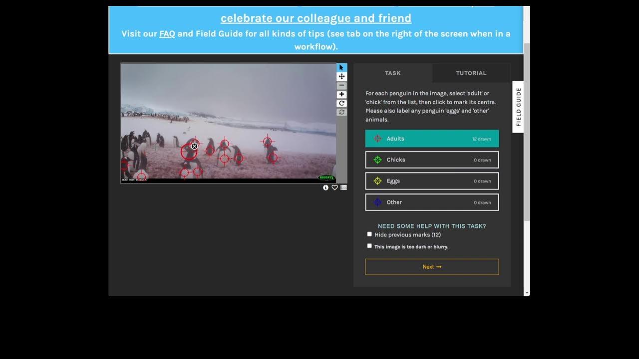 Zooniverse Penguin Watch. 24SEP22 - YouTube