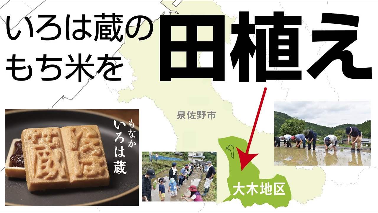 いろは蔵 10個入 商品一覧 むか新 明治25年創業 大阪泉州の和洋菓子店