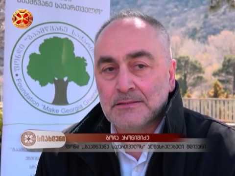 ნერგების დარგვა მცხეთაში