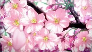 slchld - love me at my worst (slowed   reverb)