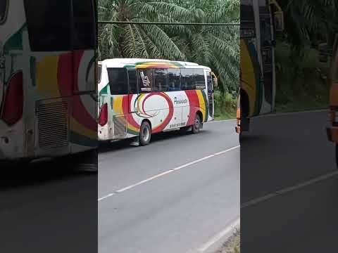 Mengarungi Nusantara dengan Bus NPM Pariwisata: Lebih dari Sekedar Transportasi