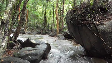 Suối Tranh ở Phú Quốc - địa điểm không thể thiếu trong chuyến hành trình khám phá Hòn Đảo Ngọc