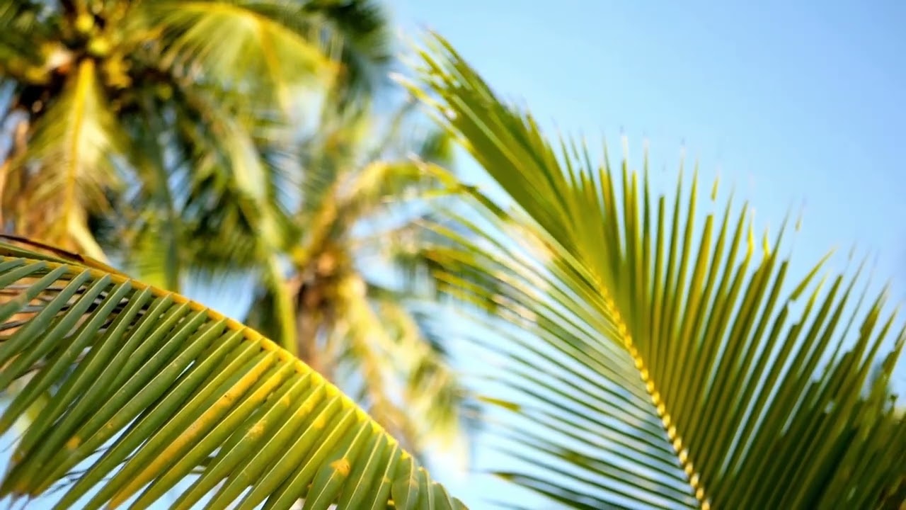 I Need You | Contemporary Christian Prayer Music