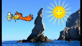 Sea Rhythms Guide