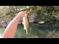 Fishing Baron Fork Creek. 14&quot; Largemouth Bass (4K, 30fps)