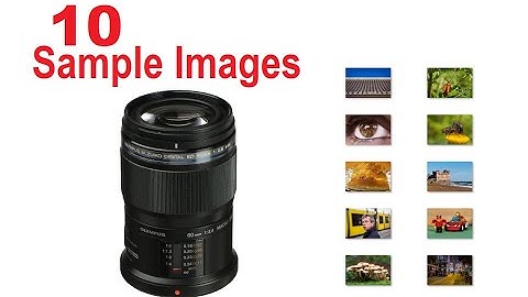 Olympus 60mm F2.8 Macro Sample Images [Photo Gallery] Premium Lens for Portrait/Close-Up Photography