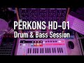 Perkons01 drum  bass session roosterfish