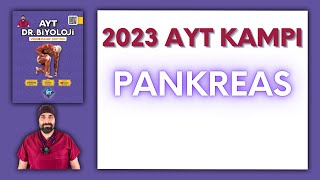 Endokrin Sistem - Pankreas Ayt Biyoloji Kampı Konu Anlatımı 11Sınıf 2024 Tayfa