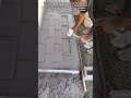 DIY Faux Brick Concrete Walkway: The Rubber Mallet Technique #shortsfeed #masonry