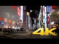 Shinjuku by Night Part I - Tokyo - 新宿区 - 4K Ultra HD