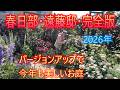【春日部・遠藤邸・完全版】2026年・ローズガーデン 26/5/12