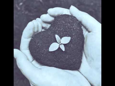 ''შენი სიყვარული თოვლმა გაიყოლა'' მაია სიჭინავა /Author songs maia sitchinava