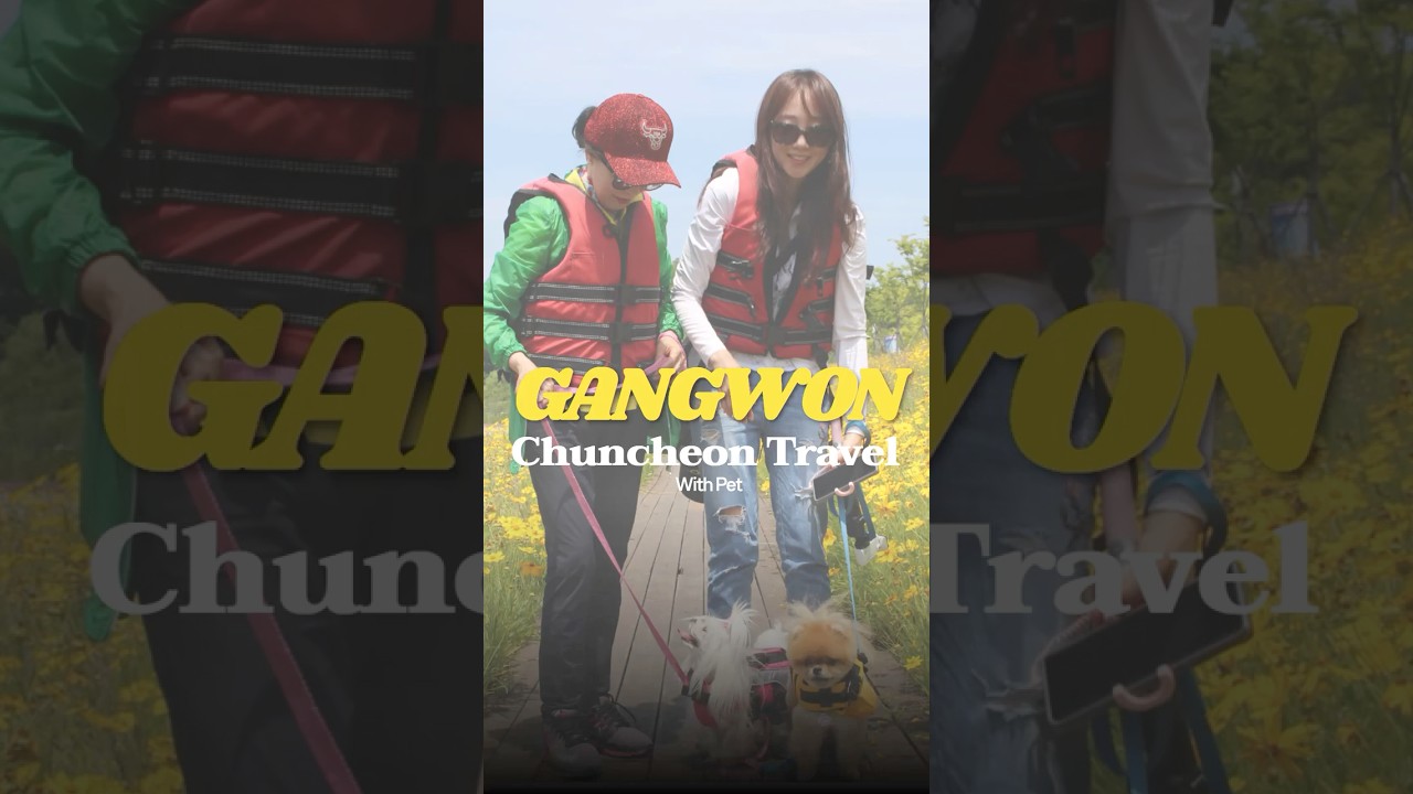 🏞️Local Treasures of Korea 2025🏞️Chuncheon Travel with Pet