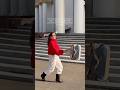 Бесплатные прогулки благодаря ЕМУ