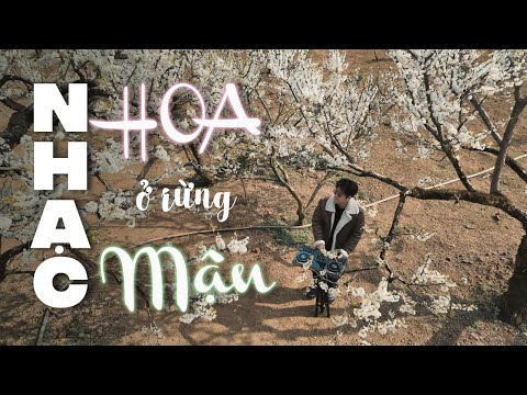 NHẠC HOA Ở RỪNG MẬN - CHINA MIX- MR PHIÊU✈️NHẠC HOUSELAK MIXTAPE 2025✈️NHẠC DEEP VIỆT HAY NHẤT