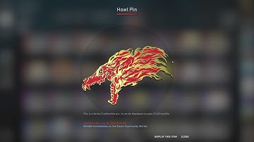 Opening A $10 CSGO Pin capsule 3