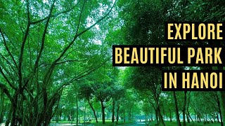Exploring Beautiful Park In Hanoi A Relaxing Walk Through Nature Michael Xp