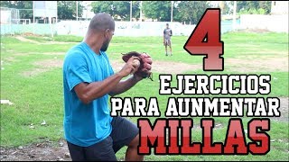 4 Ejercicios Para Aumentar De Millas