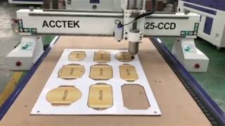 AKM1325 CCD camera cnc router