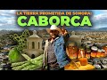 Video de Caborca