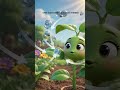 photosynthesis process #animation #knowledge #shortsfeed #facts #science