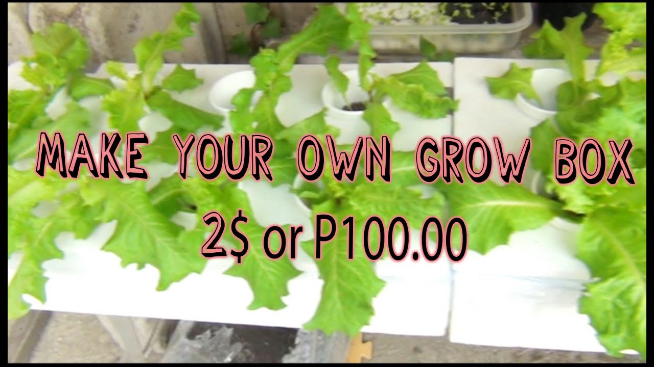 How to Make your own Grow Box for only 2$ or P100.00 Ep.
