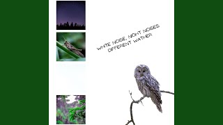[Loopable] Quick Summer Storm, White Noise