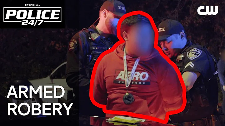 Cops Pull Over Suspect for Reckless Driving | Police 24/7 | The CW