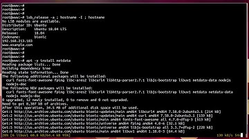 How To install NetData On Ubuntu 18.04 LTS bionic beaver