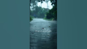 #قرآن #راحة_نفسية #تلاوة_خاشعة #ارح_قلبك #اكسبلور #لايك #viralvideo #follow #fyp #foryou