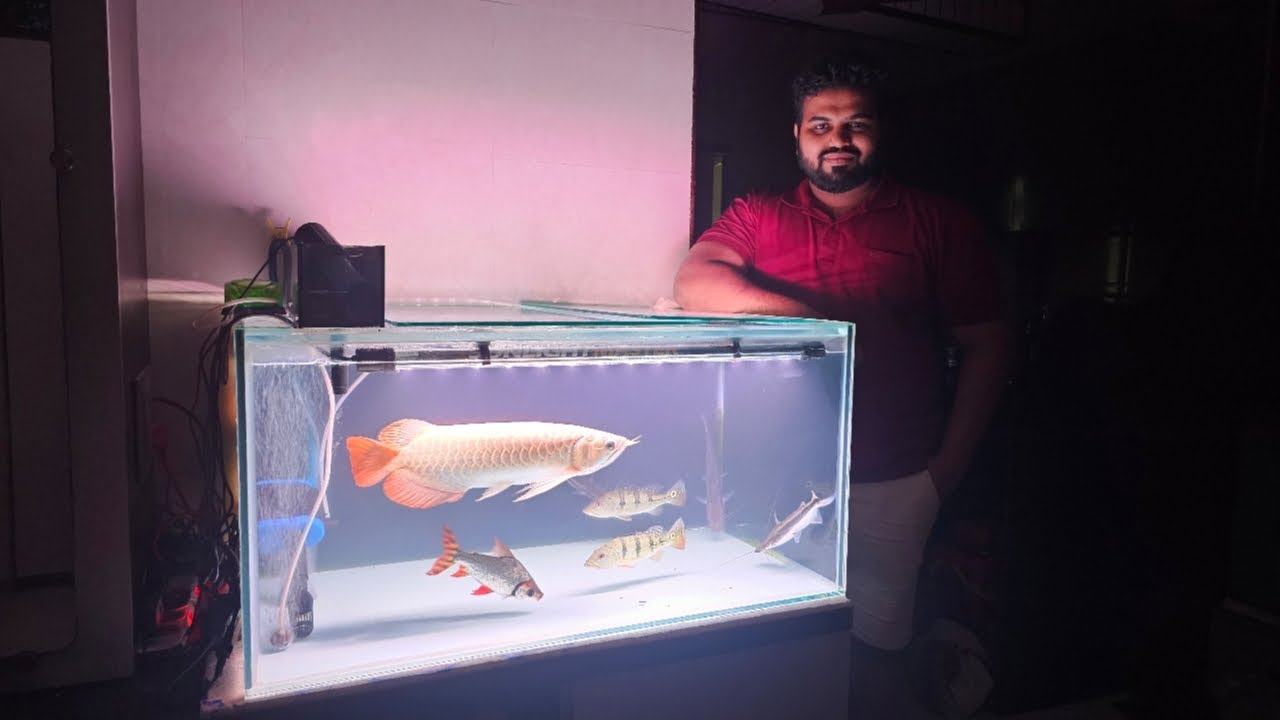 Selective Exotic Aquarium Fish at Arrowhead Aquatics