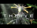 Thrive: The Evolution of a Game (Video Game Analysis)