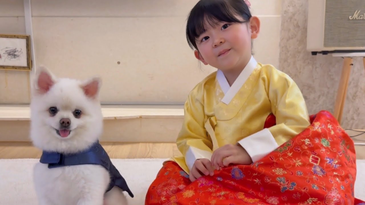 우리집 여자들은 쭉쩡이를 너무 좋아해(?)💖 도아가 주말만 기다리는 이유❕ㅣ한샘 샘키즈 