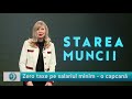 Starea Muncii cu Victoria Stoiciu: Zero taxe pe salariul minim - o capcană