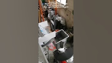 Automatic Garlic Mesh Bag Clipping Packing Machine