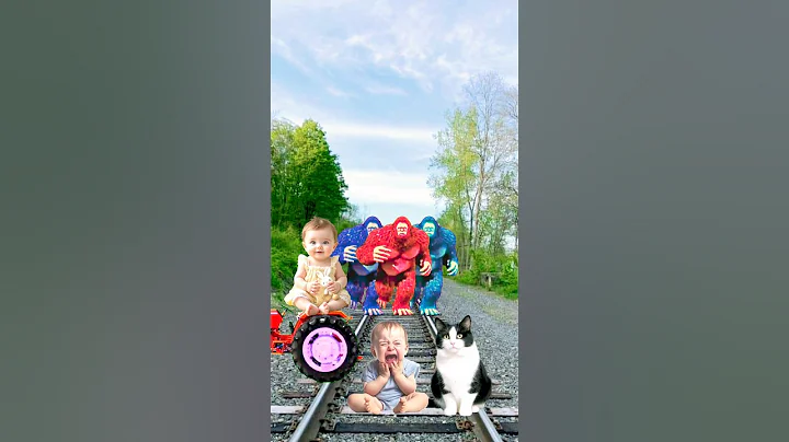 Video 11541751: cute colorful cat, cat cute golden, training