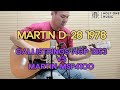 Martin D-28 with Galli Strings AGP 1253 vs Martin MSP4100