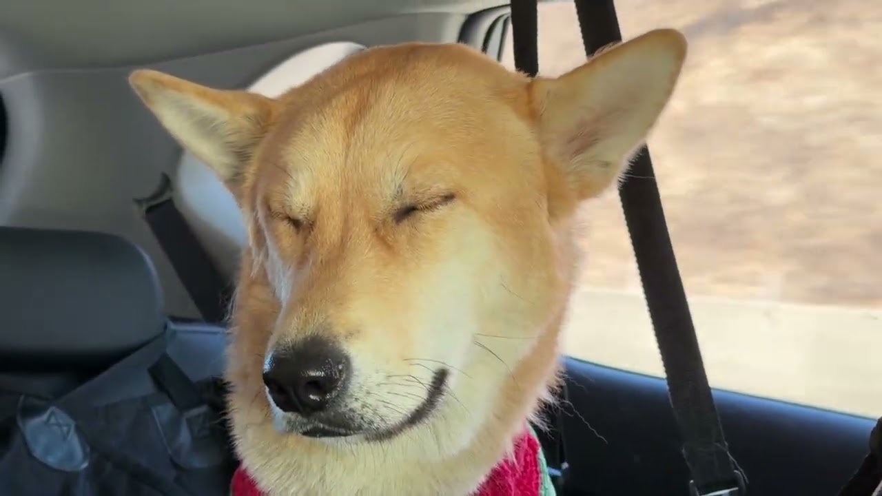 캔자스대저택 식구들 강릉여행 가는 날 🚗