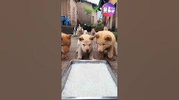 Làm nhanh gọn lẹ thiệt chứ 😂 #yeuluofficial #shorts