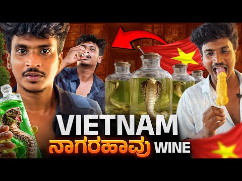 Vietnam 🇻🇳 Snake wine Exploring | ಈ ದೇಶದಲ್ಲಿ ಏನೆಲ್ಲಾ ತಿಂತಾರೆ ಗುರು 😱
